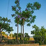 A Casa Di Mammi Nella Valle Dei Templi アパート