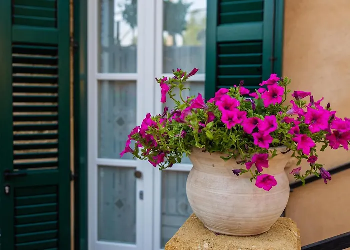 A Casa Di Mammi Nella Valle Dei Templi アパート