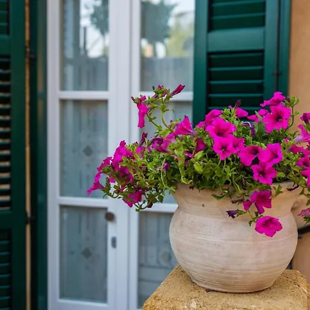 A Casa Di Mammi Nella Valle Dei Templi Appartement