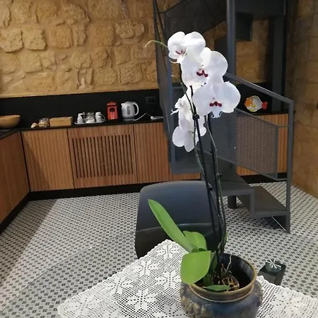 A Casa Di Mammi Nella Valle Dei Templi Appartement *